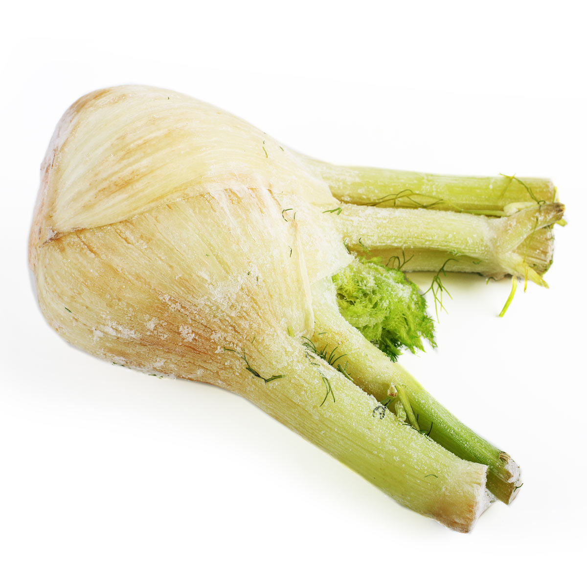 Фенхель замороженный