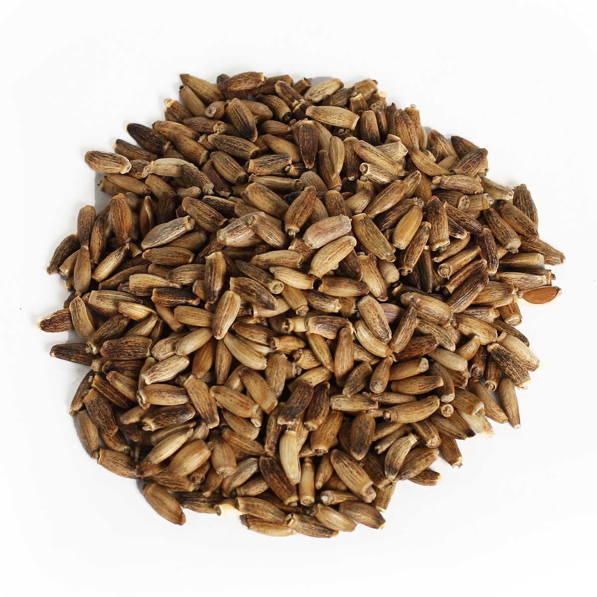 Расторопша семена