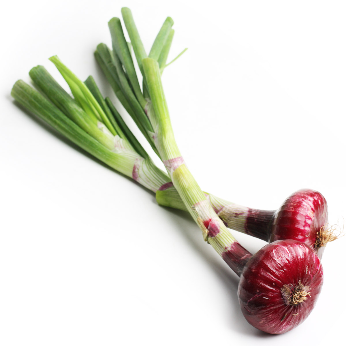 Лук красный Ялта с ботвой