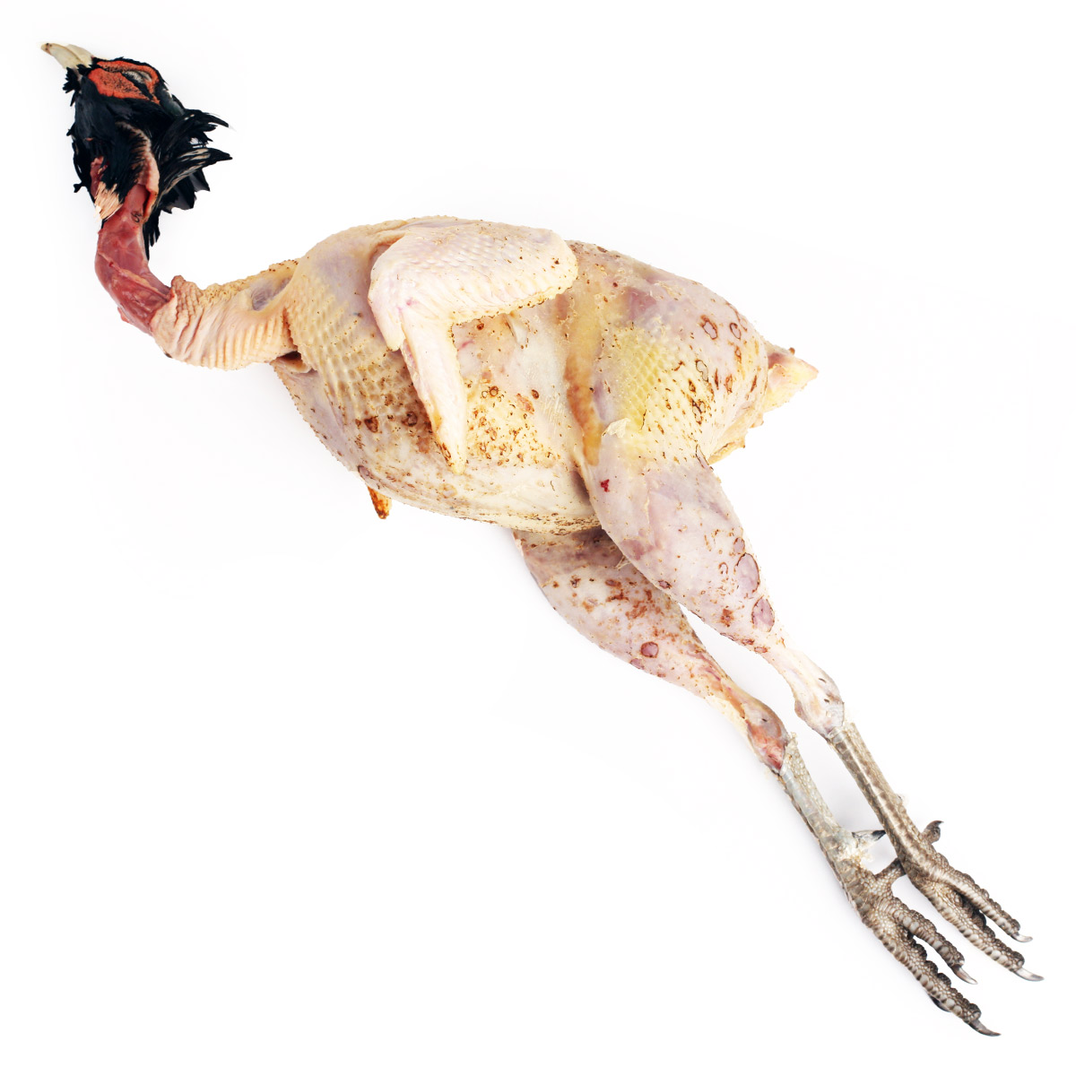 Фазан тушка