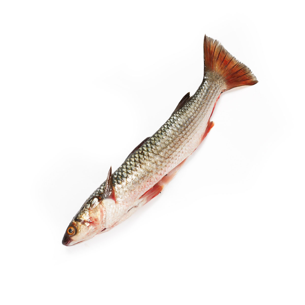 Кефаль мелкая чищеная потрошеная свежемороженая