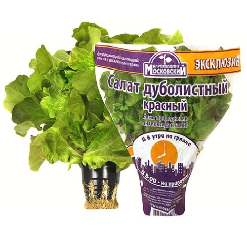 АГРОХОЛДИНГ МОСКОВСКИЙ cалат красный дуболистный