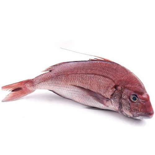 Пагр -розовая дорадо охлажденная 400-600