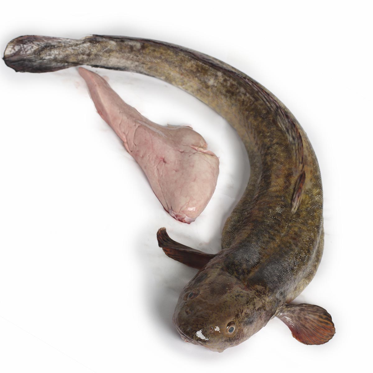 Налим средний потрошеный замороженный