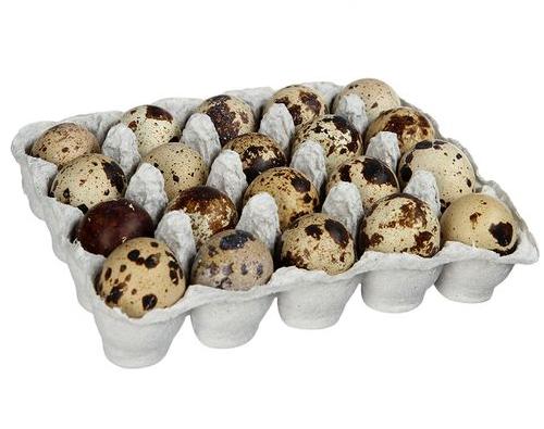 Яйцо перепелиное 20шт