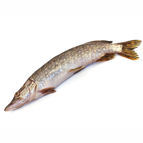 Щука свежая мелкая