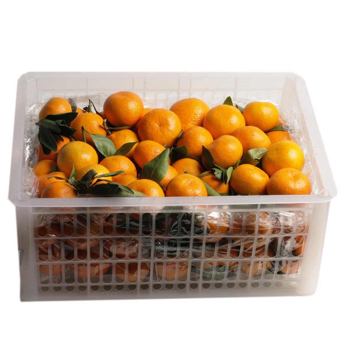 Ящик мандаринов сезонных