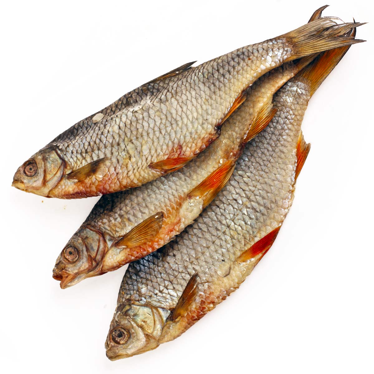 Плотва вяленая