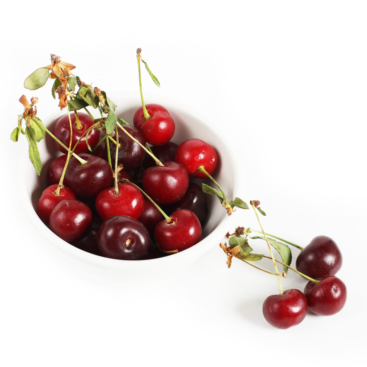 Вишня свежая Вишня свежая