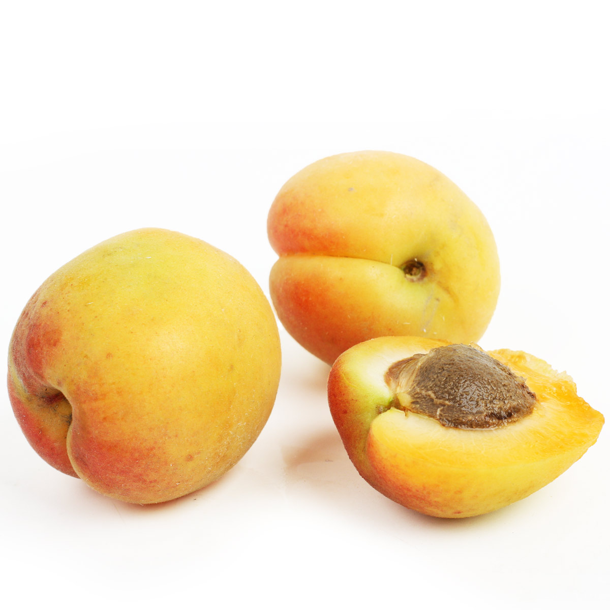 Абрикосы Узбекские Шалах