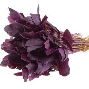 Базилик красный