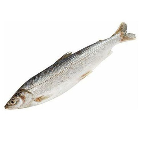 Омуль свежемороженый Якутия