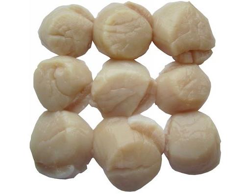 Морской гребешок крупный Китай