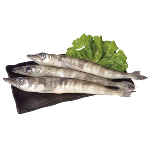 Ледяная рыба