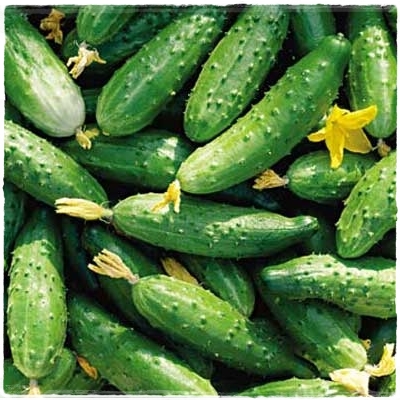 Огурцы Миринда, Коробка