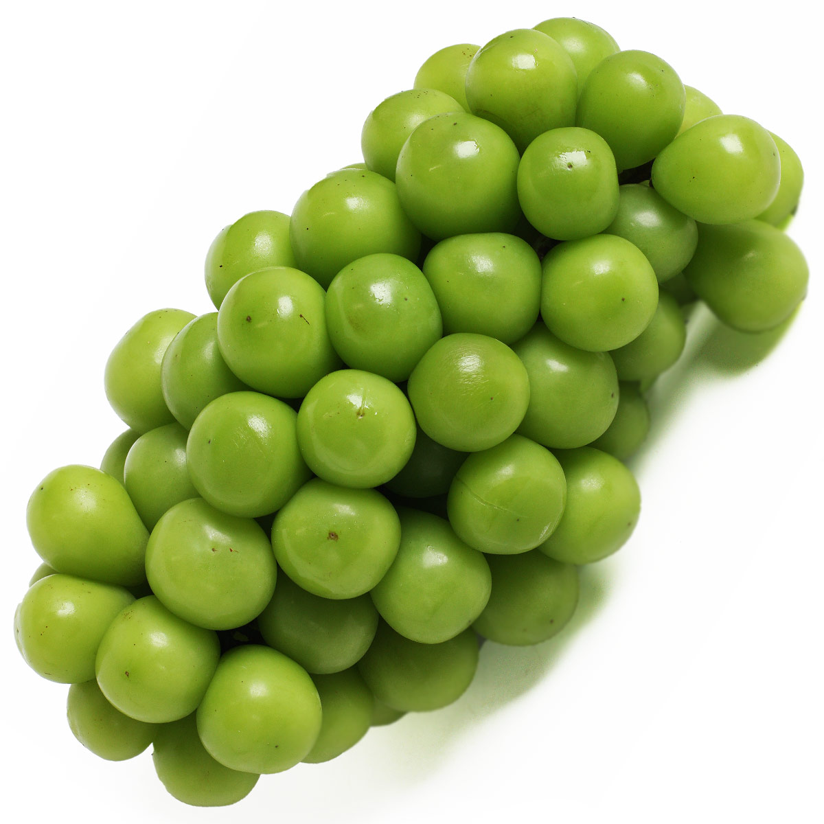 Виноград Мускат зеленый