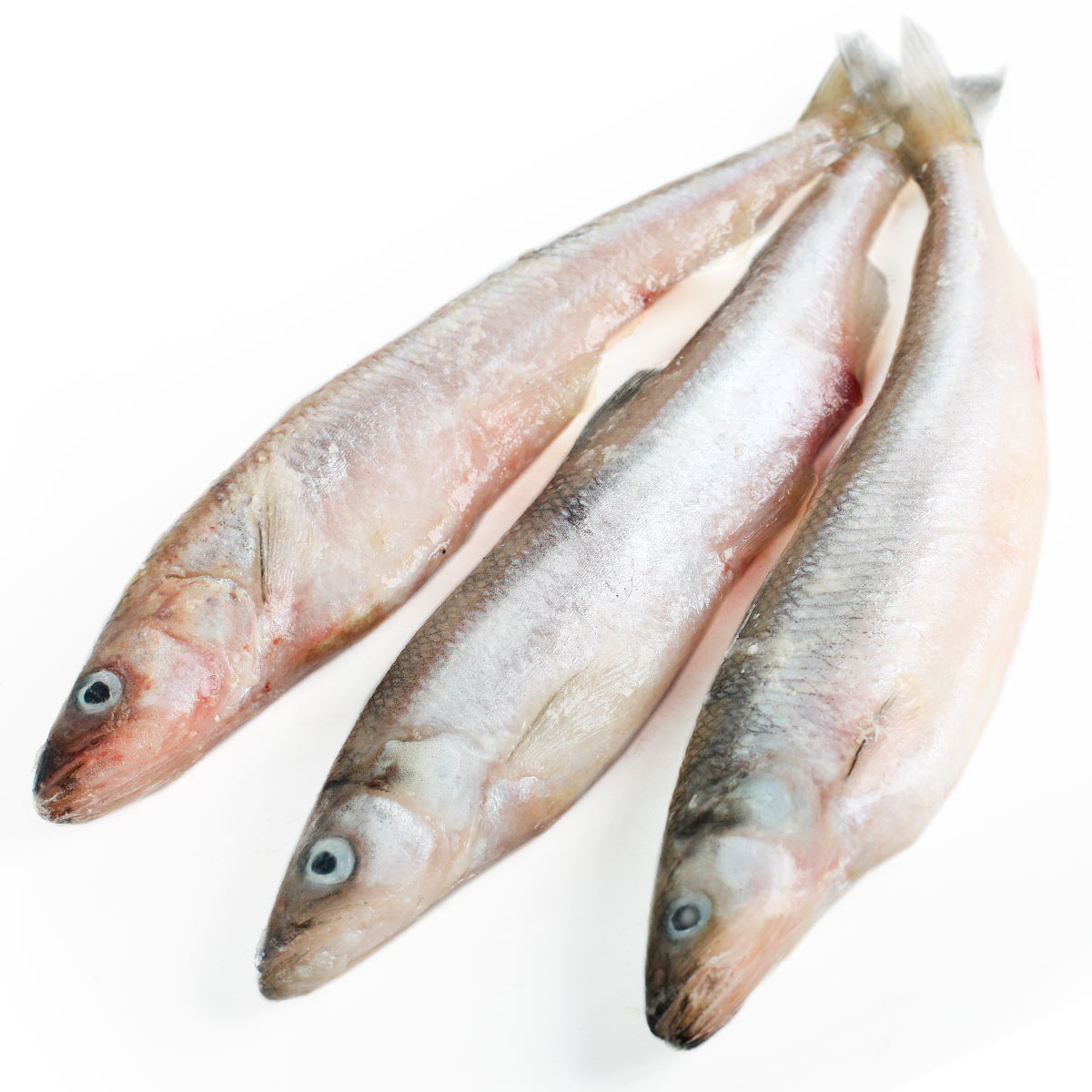 Корюшка крупная свежемороженая