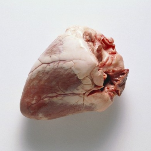 Сердце говяжье замороженное