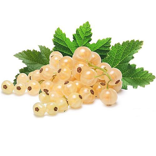 Белая смородина