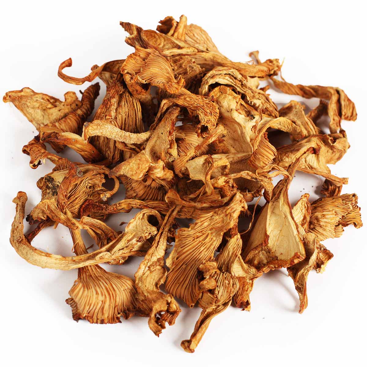 Лисички сушеные