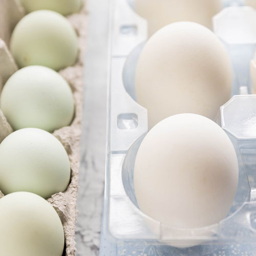 Яйца гусиные домашние