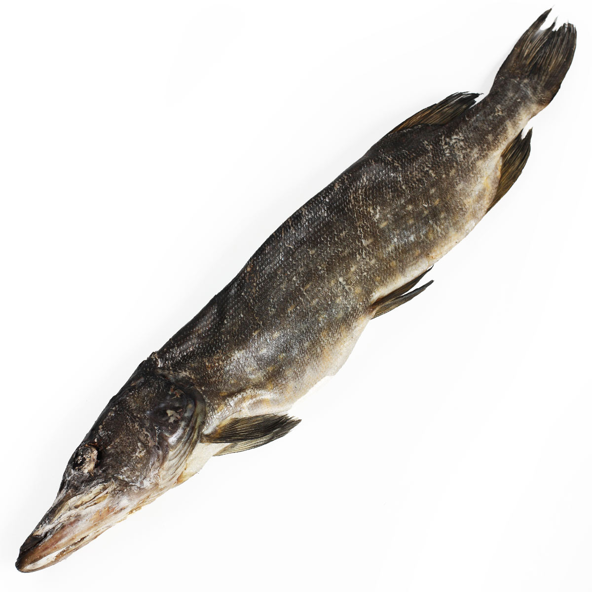 Щука вяленая непотрошеная