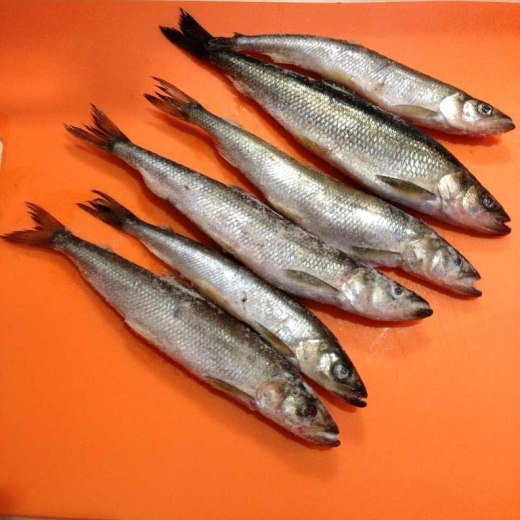 Корюшка Ханты-Мансийская свежемороженая 