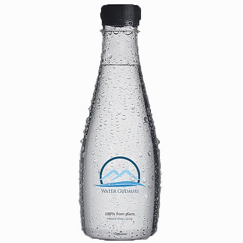 Гудаури Вода минеральная 0.5 л