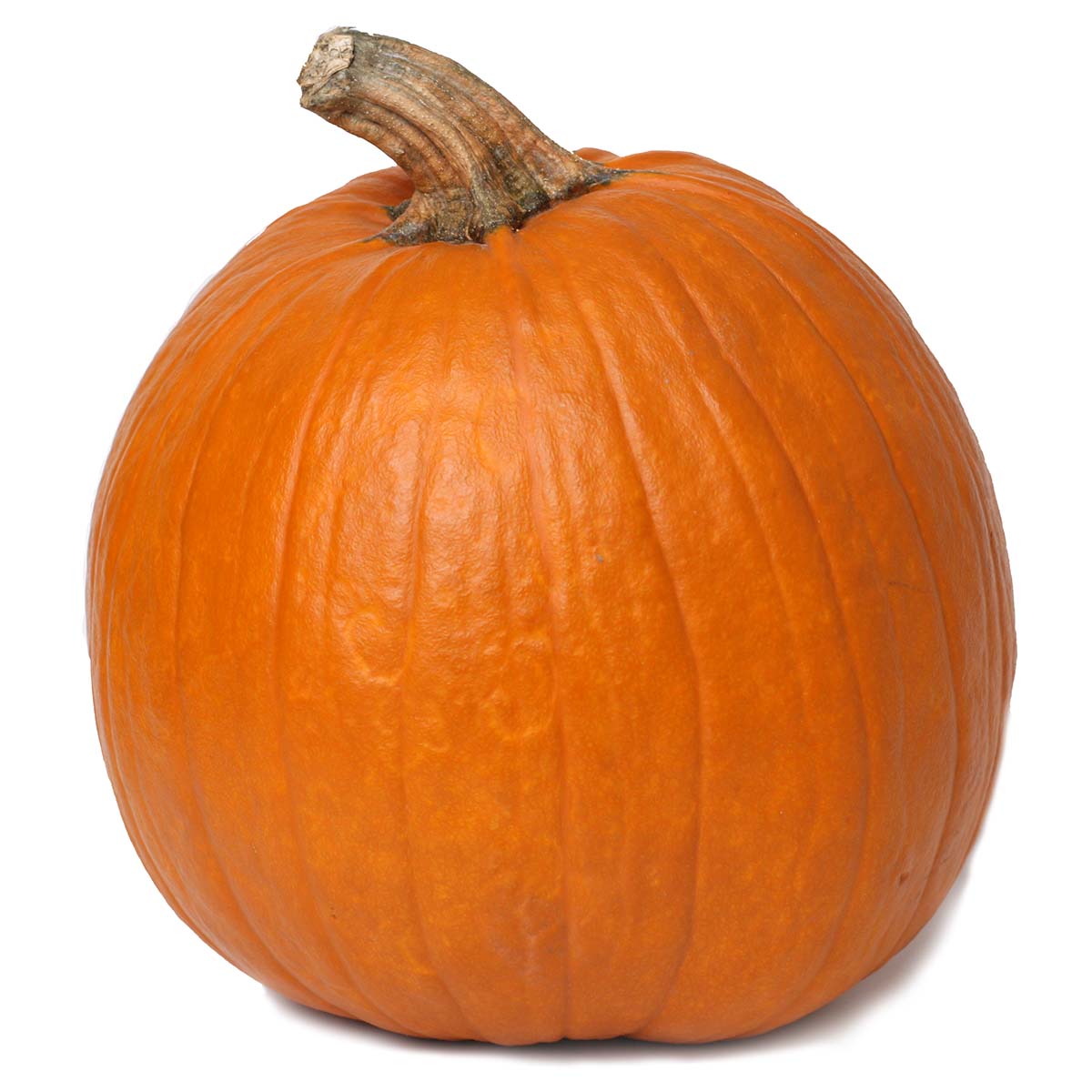 Тыква хэллоуин