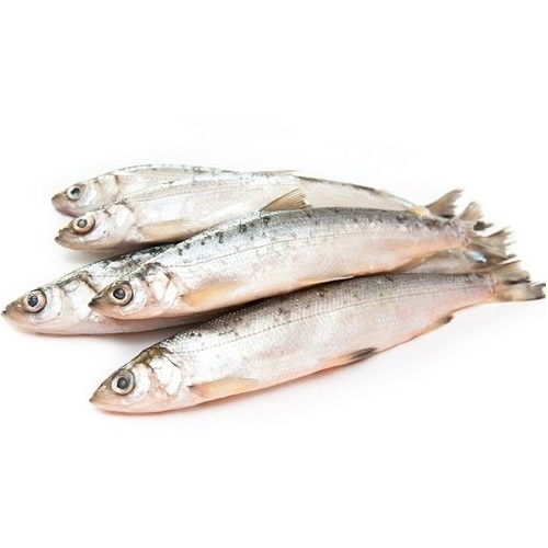 Ряпушка Якутская свежемороженая