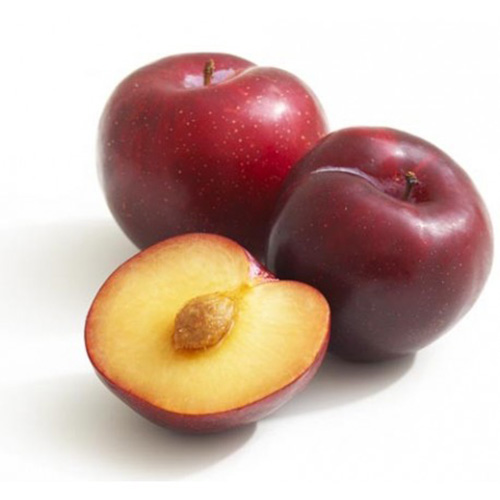 Слива красная