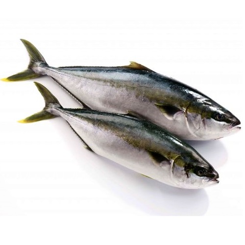 Тунец желтохвостый охлажденный