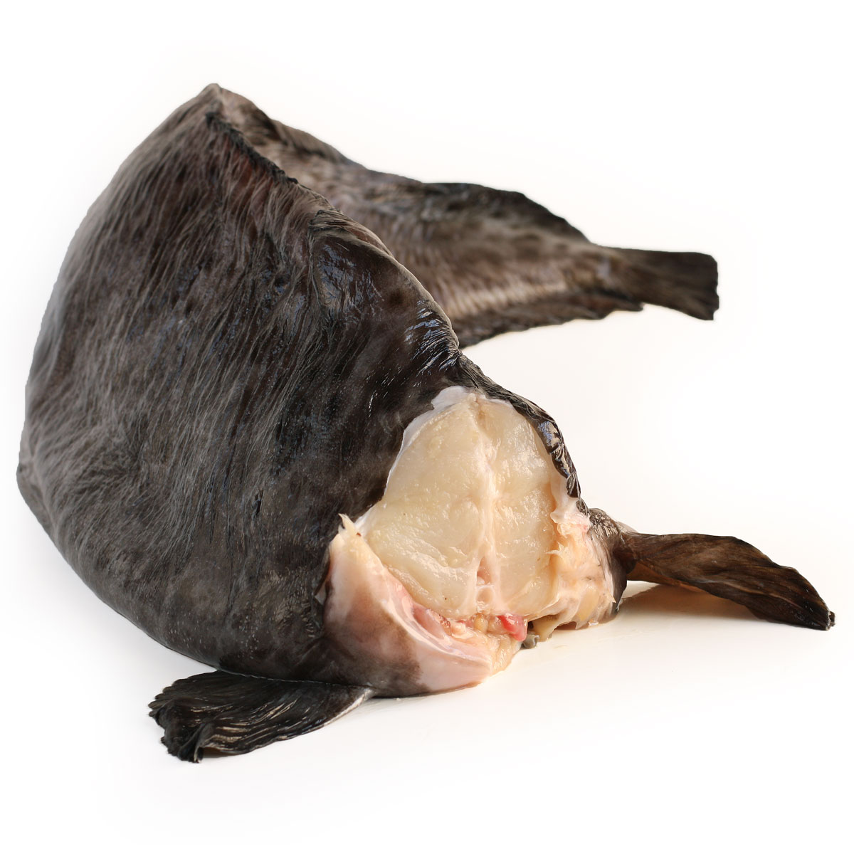 Синяя зубатка охлажденная