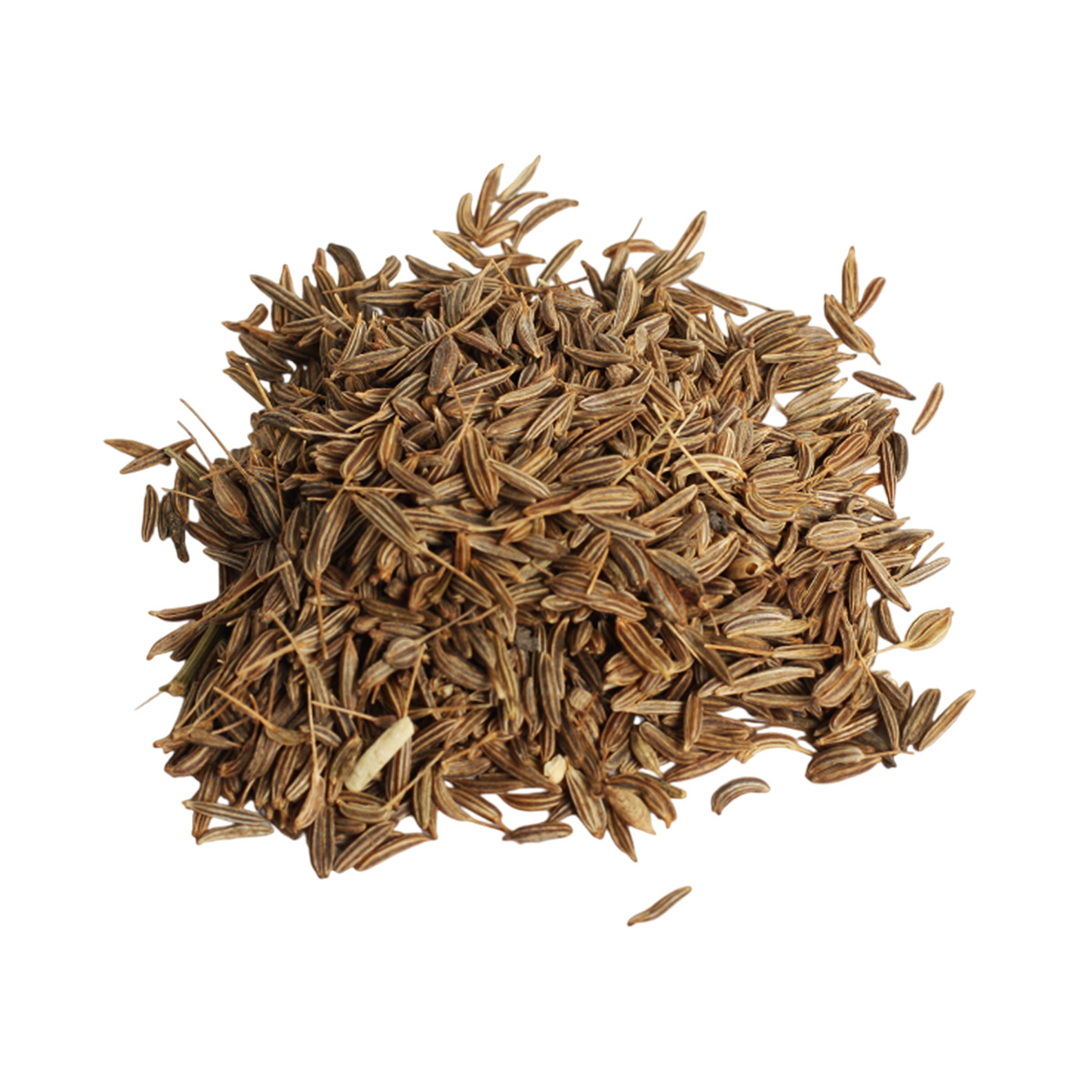 Тмин развесной