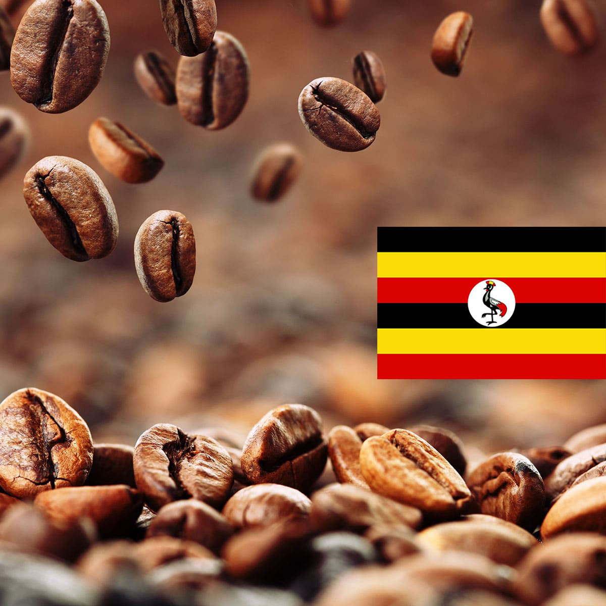 Кофе в зернах Уганда Рувензори Carpe Diem 150г